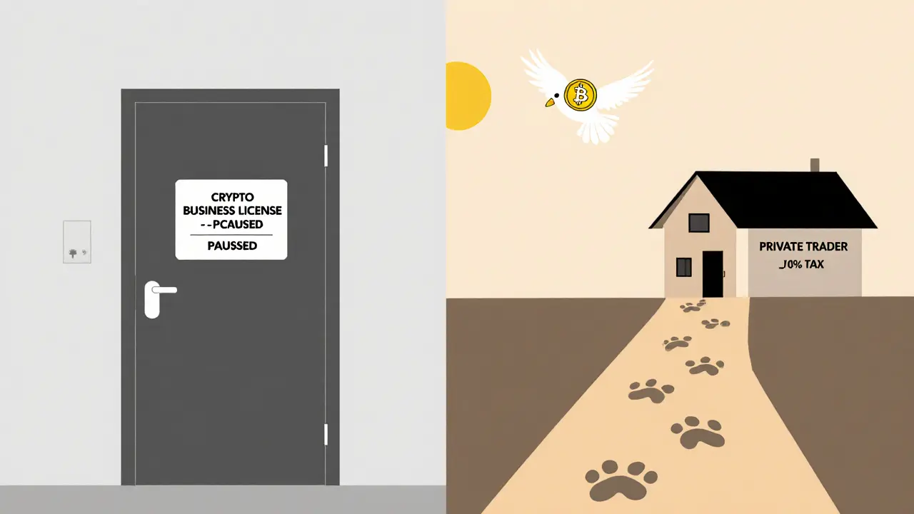 Split scene: locked business license door vs. open path to tax-free living for private crypto traders.